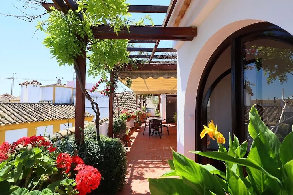 別荘 Casa Con Encanto En La Juderia De コルドバ