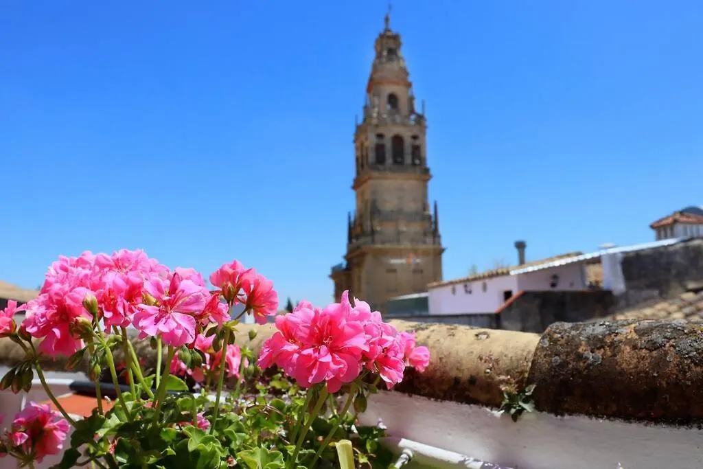 Casa Con Encanto En La Juderia De コルドバ スペイン