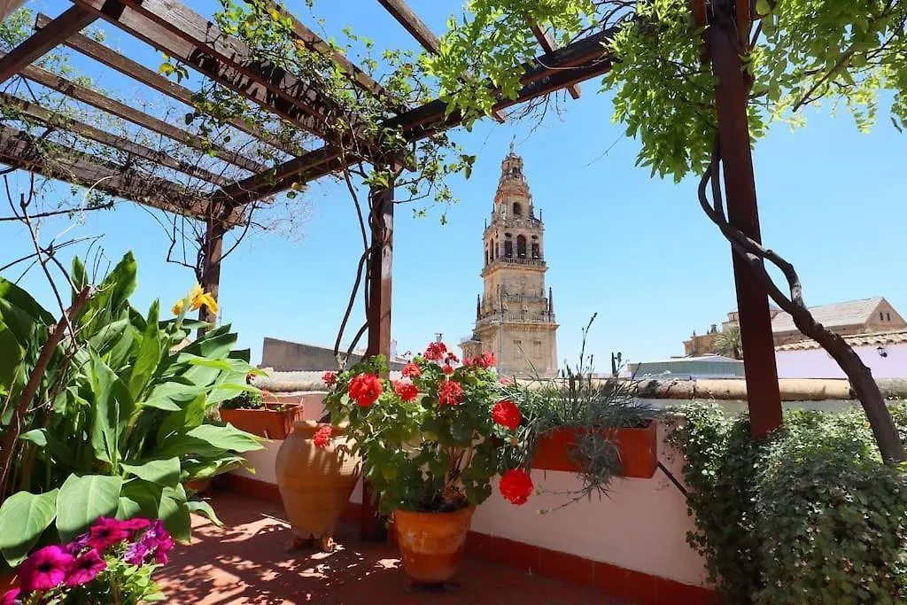 Casa Con Encanto En La Juderia De コルドバ 別荘